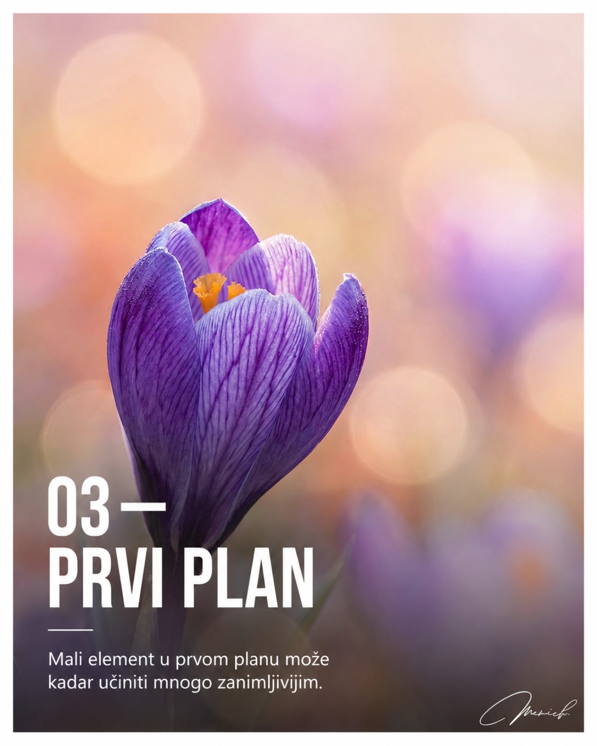 Savjet 03 — Prvi plan