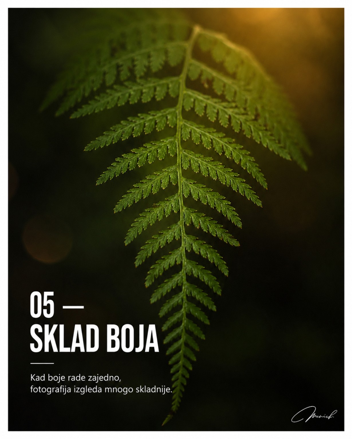 Savjet 05 — Sklad boja